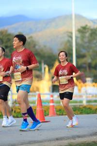 BIB: 
                            <button type="button" onclick="openModal(27886688)" class="btn btn-primary btn-sm float-right btn-popup" data-toggle="modal" data-target=".modal-high-quality">
                        <i class="fas fa-shopping-cart"></i> Add to Cart
                    </button>
                                            <button type="button" onclick="isThisMe(27886688, true)" class="btn btn-success btn-sm float-right btn-popup btn-isme hidden" data-toggle="tooltip" data-placement="bottom" title="นี่คือรูปของคุณใช่ไหม คลิกที่นี่เพื่อเอาเข้าอัลบั้ม">
                        <i class="fas fa-plus"></i> Add to album
                    </button>
                    <button type="button" onclick="isThisMe(27886688, false)" class="btn btn-warning btn-sm float-right btn-popup btn-isnotme hidden">
                        <i class="fas fa-ban"></i> Remove from album
                    </button>